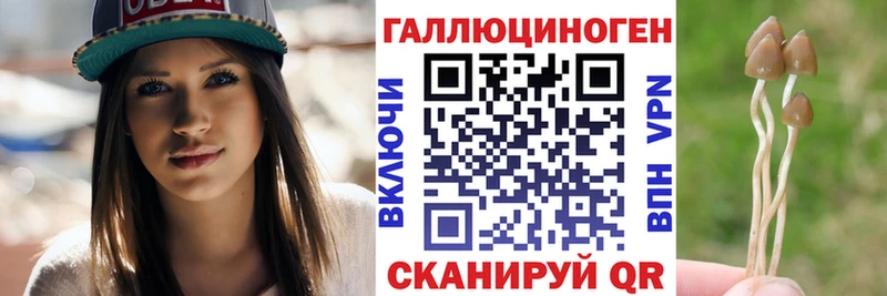 Купить закладки  Камышин  Галлюциногенные грибы GOLDEN TEACHER 